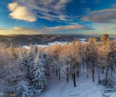 WIEŻE WIDOKOWE Zimowa panorama z wieży widokowej na Jaworzu, fot. K. Bańkowski Nie jest to pierwsza budowla na Jaworzu.