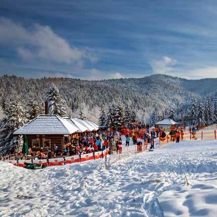 STACJE I WYCIĄGI NARCIARSKIE Stacja Tylicz-Ski znajduje się w Tyliczu, blisko Krynicy-Zdroju, na zboczach liczącego 770 m n.p.m. Bradowca.