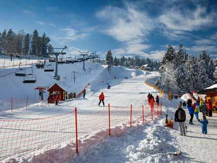 STACJE I WYCIĄGI NARCIARSKIE Oprócz dużych stacji narciarskich w regionie działają również mniejsze obiekty. Specjalną ofertę dla dzieci proponuje stacja Tomek-Ski w Tyliczu.