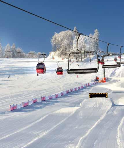 Znawcy początki snowboardu datują już na 1900 r. Z pewnością jednak w 1929 r.