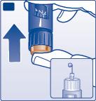 Sprawdzanie przepływu insuliny F Przed każdym wstrzyknięciem niewielka ilość powietrza może zebrać się w igle lub we wkładzie podczas zwykłego użytkowania.