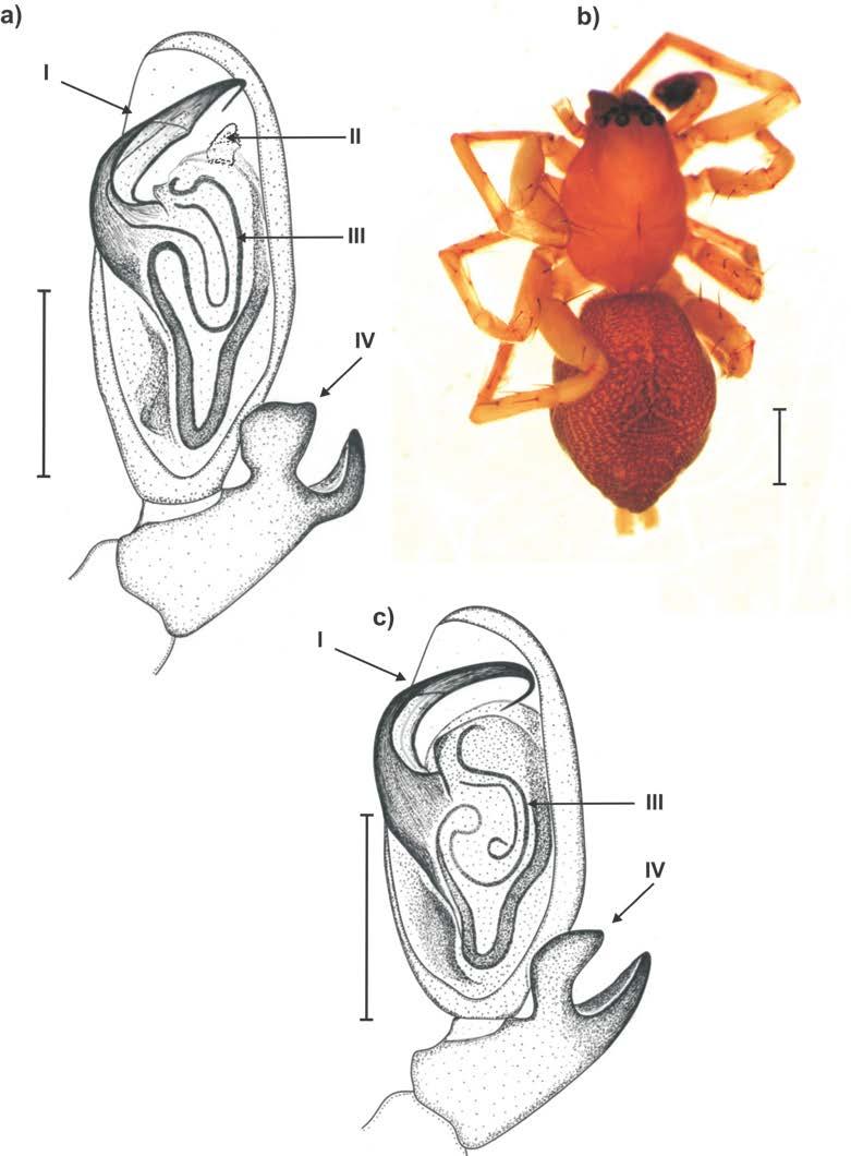 60 R. Rozwałka and J. Stachowicz Figure 1.