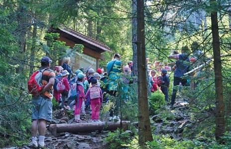 zostało oddane do użytkowania Centrum Promocji Leśnictwa Lasów Państwowych. Symbolicznym jest również fakt, że statuetką Bieszczadzkiego Żubra honoruje się corocznie od 2007 r.