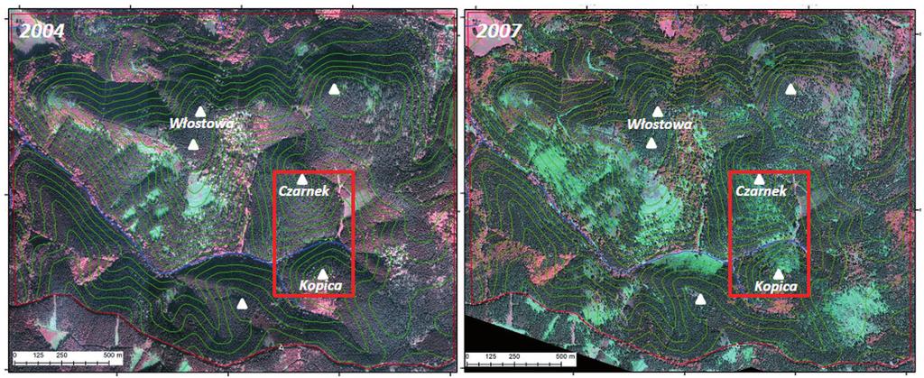 Łukasz Pawlik Ryc. 11. Porównanie ortofotomap okolic badań z lat 2004 i 2007 (dane udostępnione przez Nadleśnictwo Wałbrzych) Fig. 11. Comparison of the orthophotomaps from 2004 and 2007 (data source: courtesy of Wałbrzych Forest District Directorate) we wylesienie grzbietu i stoków Włostowej (ryc.