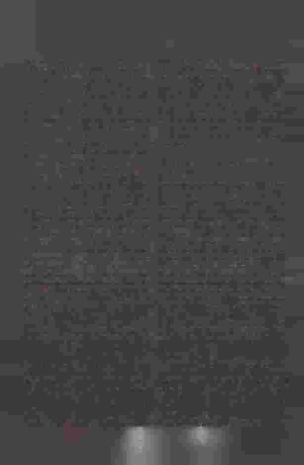 intensity of human penetration or the area's location in the city centre or outskirts.