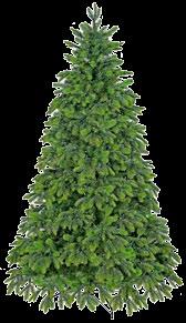 roślin
