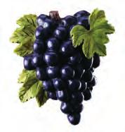 KLAMRY