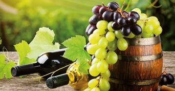 Wino z najlepszej jakości winogron szczepu Merlot, rosnących na południu słonecznej Mołdawii. Wyczuwalne aromaty czerwonych owoców i cynamonu.