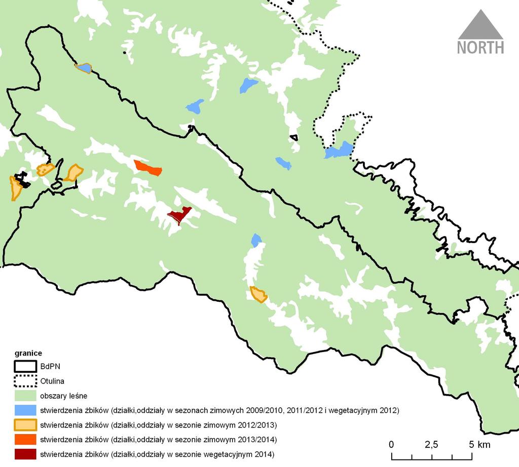 ŻBIK (Felis silvestris) W latach 2010-2012 odnotowano 6 stwierdzeń żbików na obszarze BdPN i otuliny (2 w parku, 4 w otulinie).