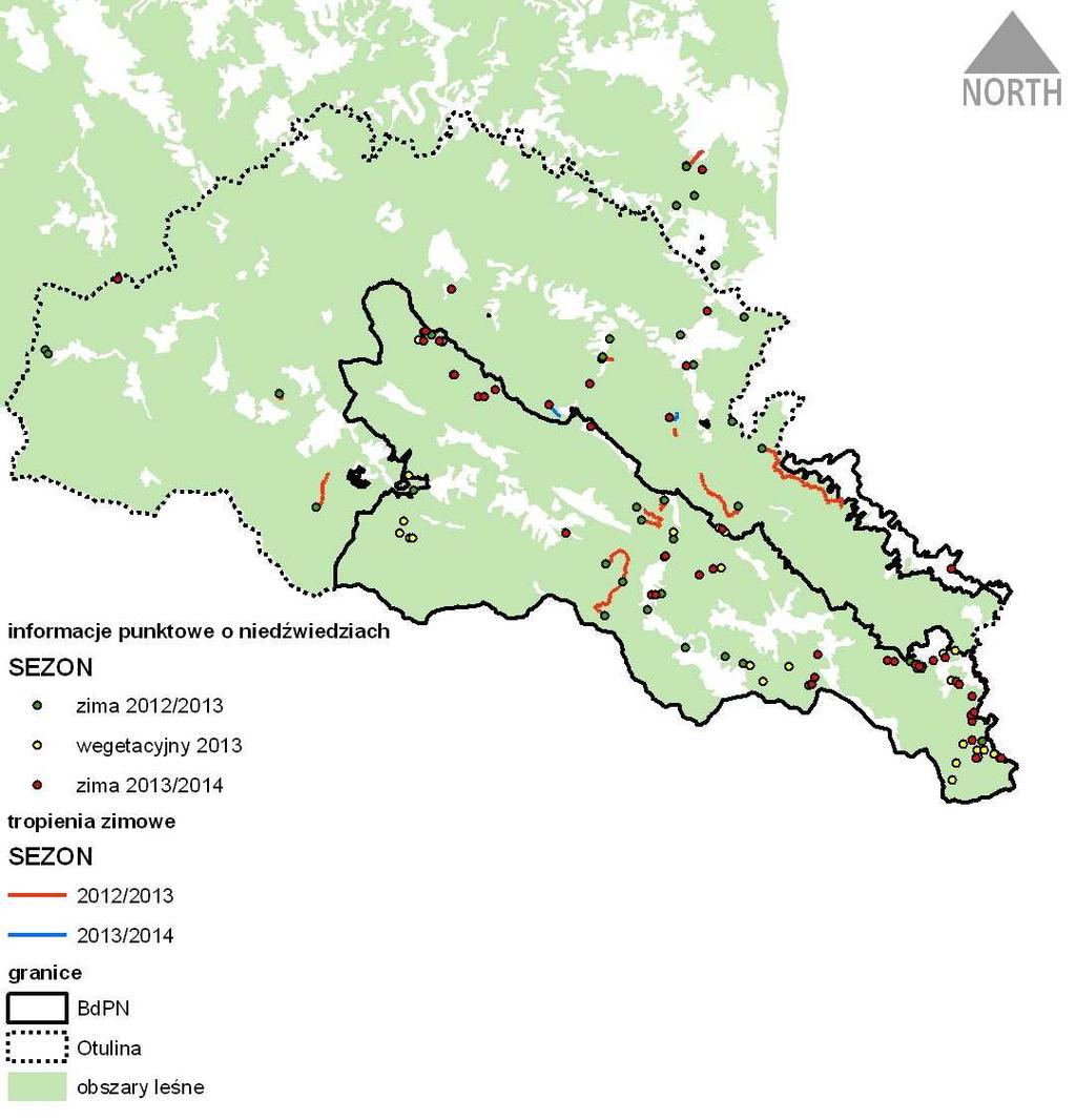 NIEDŹWIEDŹ (Ursus arctos) W latach 2012-2014 zebrano 133 informacji dotyczących lokalizacji niedźwiedzi (w większości na terenie BdPN) oraz na terenie obszaru Natura 2000 poza Parkiem Narodowym.