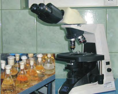 Omawiane prace badawcze obejmowały: ocenę stopnia skażenia mikrobiologicznego płuczek wiertniczych stosowanych w krajowym przemyśle naftowym, izolację drobnoustrojów powodujących biodegradację