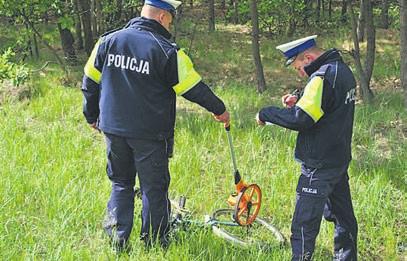 Dodaje, że większość suczek jest po zabiegu sterylizacji. - W pierwszej kolejności, zabiegowi poddawane są psy rasowe, by zapobiec tzw. pseudo hodowlom.