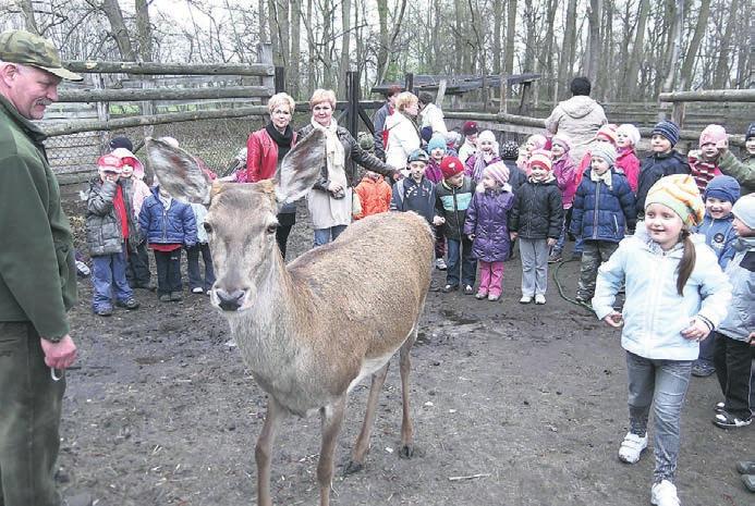 Podczas spaceru po lesie pokazali dzieciom też ambony i inne leśne atrakcje.