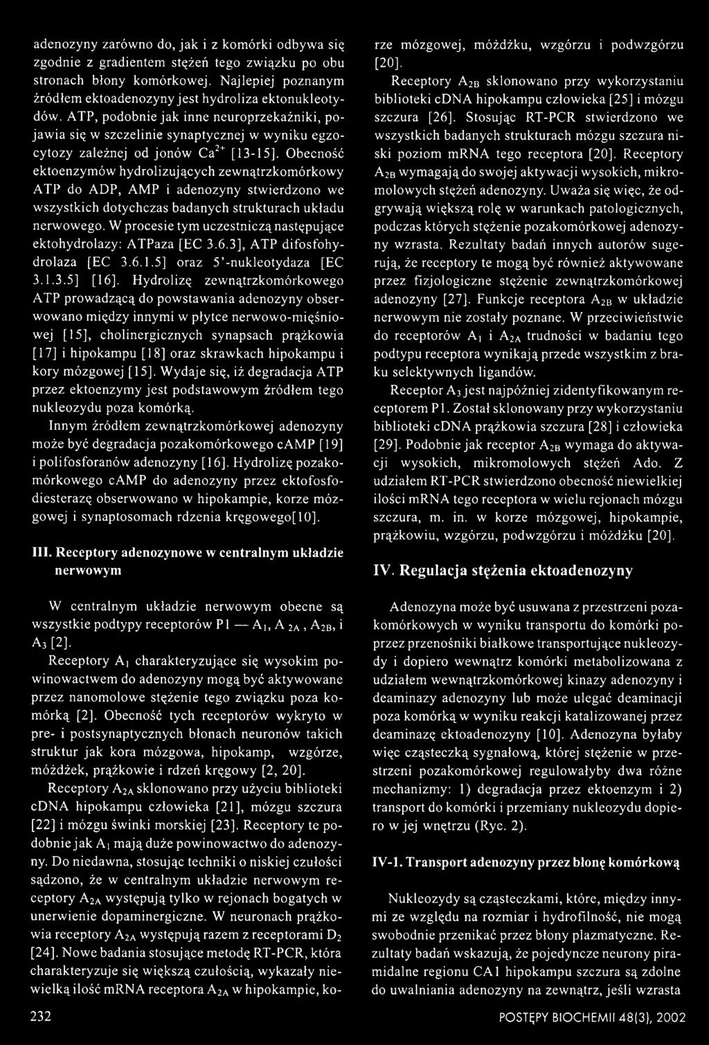 AMP i adenozyny stwierdzono we wszystkich dotychczas badanych strukturach układu nerwowego. W procesie tym uczestniczą następujące ektohydrolazy: ATPaza [EC 3.6.3], ATP difosfohy- drolaza [EC 3.6.1.