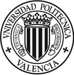 Kursy językowe w Walencji Universitat Politècnica de València zaprasza pracowników naukowo -dydaktycznych i administracyjnych na kursy językowe.