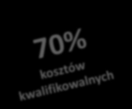 Podmiot wykonujący