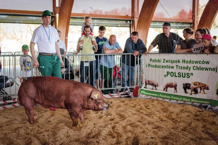 Wyniki oceny wartości