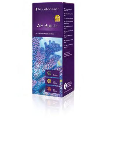 Suplementy i pokarmy Suplementy i pokarmy AF Amino Mix AF Build UŻYWAJ W ODPOWIEDZIALNY SPOSÓB Suplement zawierający ponad 20 skoncentrowanych aminokwasów dla wszystkich typów koralowców.