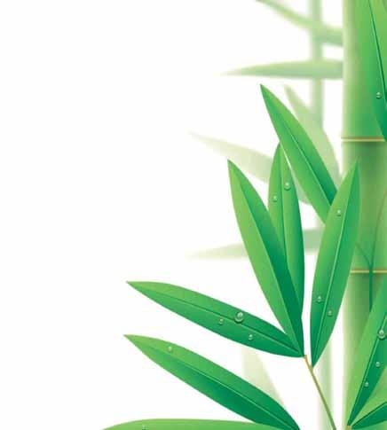 EUCALYPTOL Preparat do rozpuszczania gutaperki Dostępne