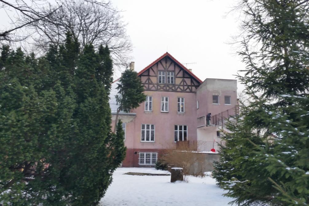 INWENTARYZACJA ZIELENI Fot.2. Obszar działki nr 113 w kierunku budynku DDPS Inwentaryzację wykonano w styczniu 2017 roku.