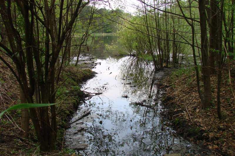 Ekohydrologiczna adaptacja