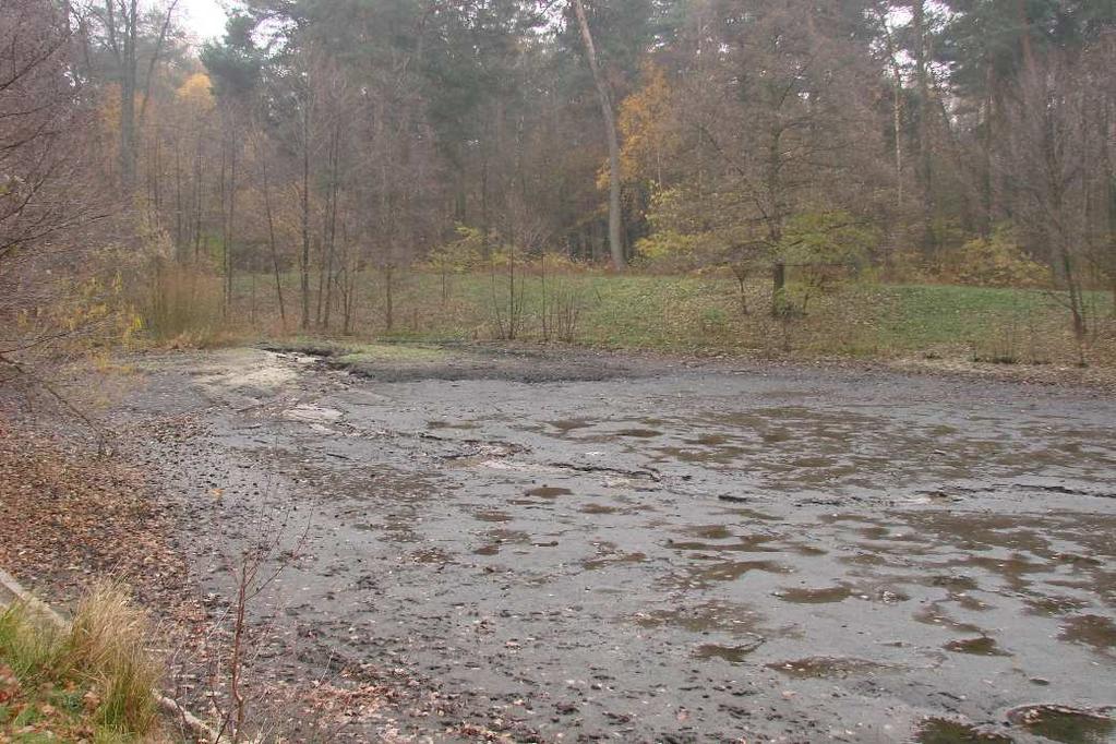azotu ogólnego z każdego metra sześciennego osadu.