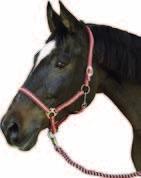 23-329 Pony 23-321 cob niebieski 23-329 Full 23-328 X-Full 23-32394