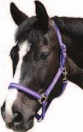 rozmiar Kolor 23-3219 mini Shetty 23-3219 Shetty 23-321921 Pony