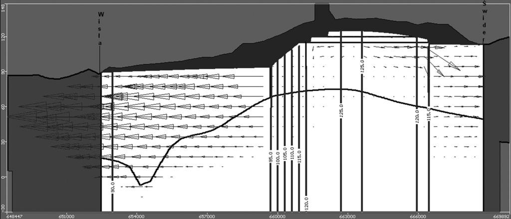 Filip Bujakowski i in. Ryc. 8. Schemat przepływu wód podziemnych w przekroju D D (okno programu Visual MODFLOW) Fig. 8. Schematic diagram of groundwater flow in cross section D D (Visual MODFLOW interface) Bilans krążenia wód modelowanego obszaru zamieszczono w tabeli 1.