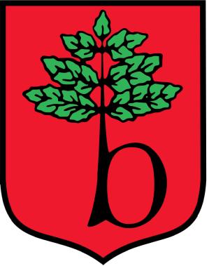pl Nazwa opracowania: PROGRAM USUWANIA AZBESTU I WYROBÓW ZAWIERAJĄCYCH AZBEST DLA GMINY