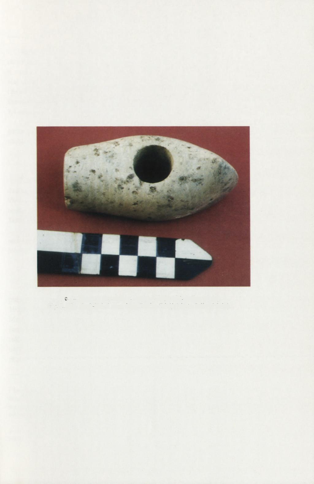 Ryc. 2. Toporek ślężański z Buska-Zdroju (fot. Julian Mróz).