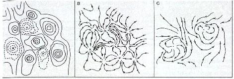 5. Idea: