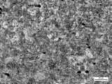 Zone with dendritic crystals etching; nital, magnification 500x: a) 1C-PF, b) 2BC-PF, c) 3B-PF Rys. 7.