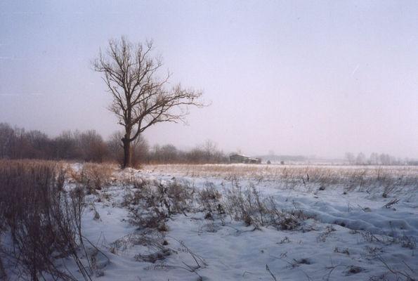 I - o najkorzystniejszych, dla celów lecznictwa sanatoryjnego, warunkach klimatycznych Obok obszarów wierzchowinowych zaliczono