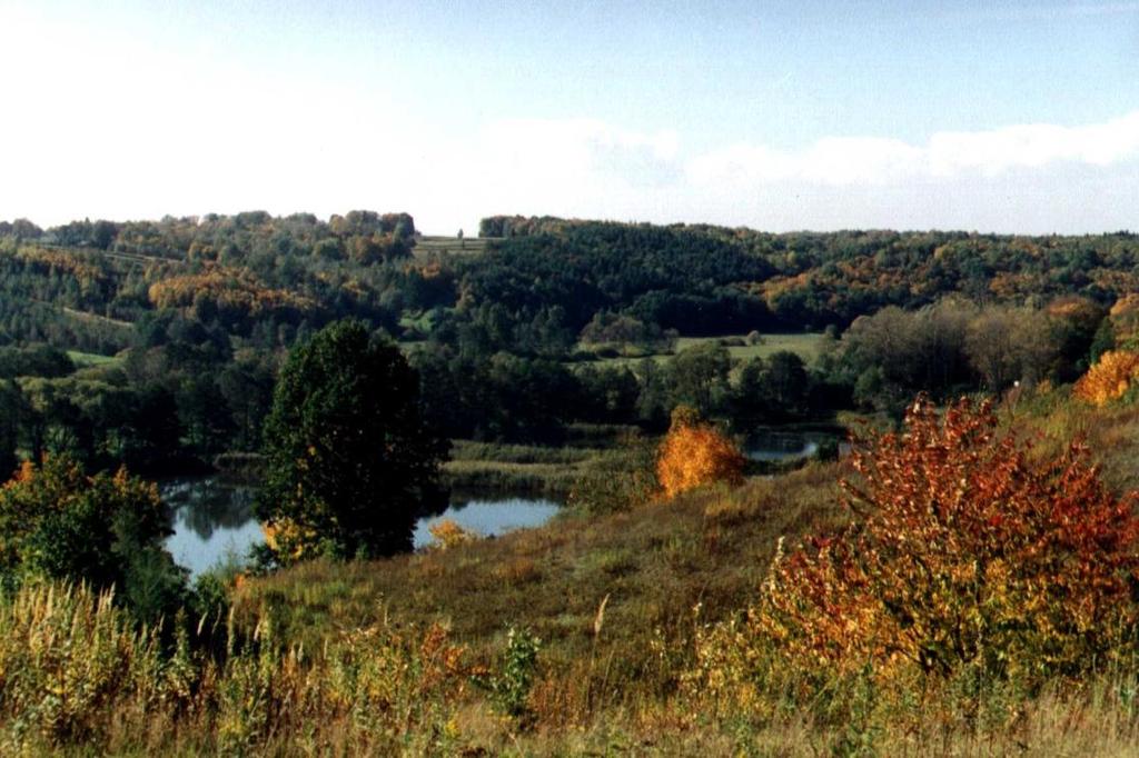 Wstęp Jednym z elementów środowiska przyrodniczego, mającym istotny wpływ na warunki rozwoju jednostki terytorialnej (w tym także gminy), są warunki klimatyczne.