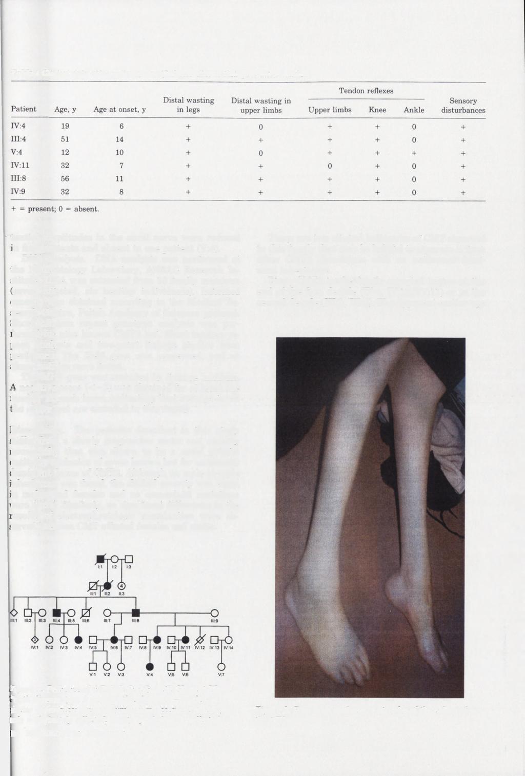 Table 1 Clinical data of the patients, classified according to their generation number ;ential amplitudes in the sural nerve were reduced n four patients and absent in one patient (V:4).