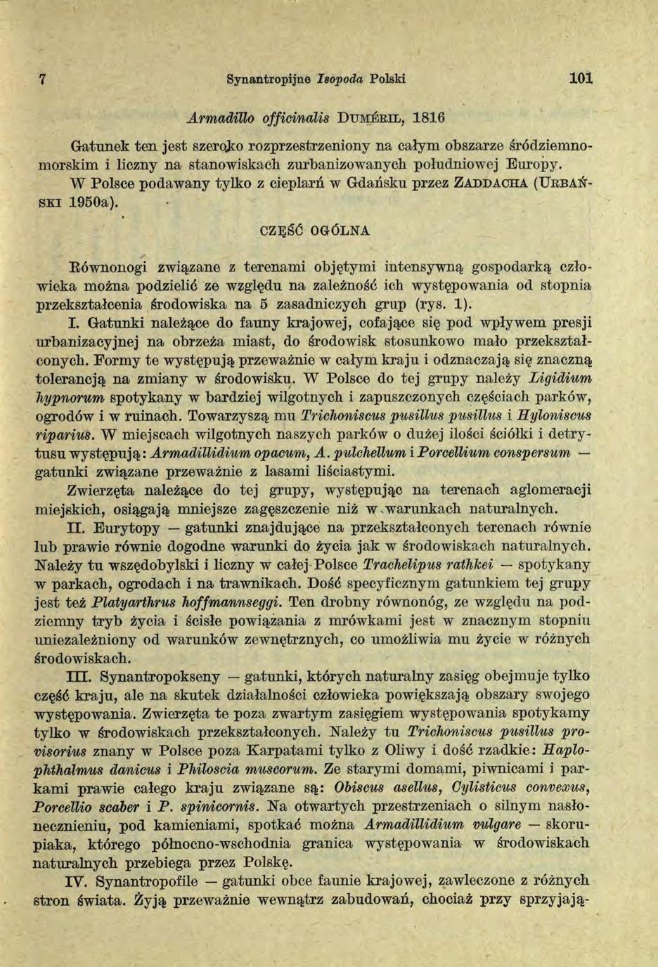 7 Synantropijno Isopoda Polski 101 Armadillo officinalis D u m e r il, 1816 Gatunek ten jest szeroko rozprzestrzeniony na całym obszarze śródziemnomorskim i liczny na stanowiskach zurbanizowanych