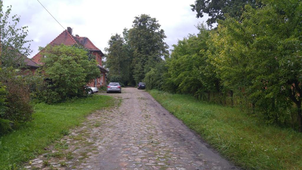 Działka nr 319/5, droga