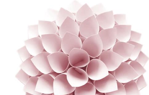a i s o s t e a r a t e, Polymethylsilsesquioxane, HDI/Trimethylol Hexyllactone Crosspolymer, Silica, Glyceryl Stearate,