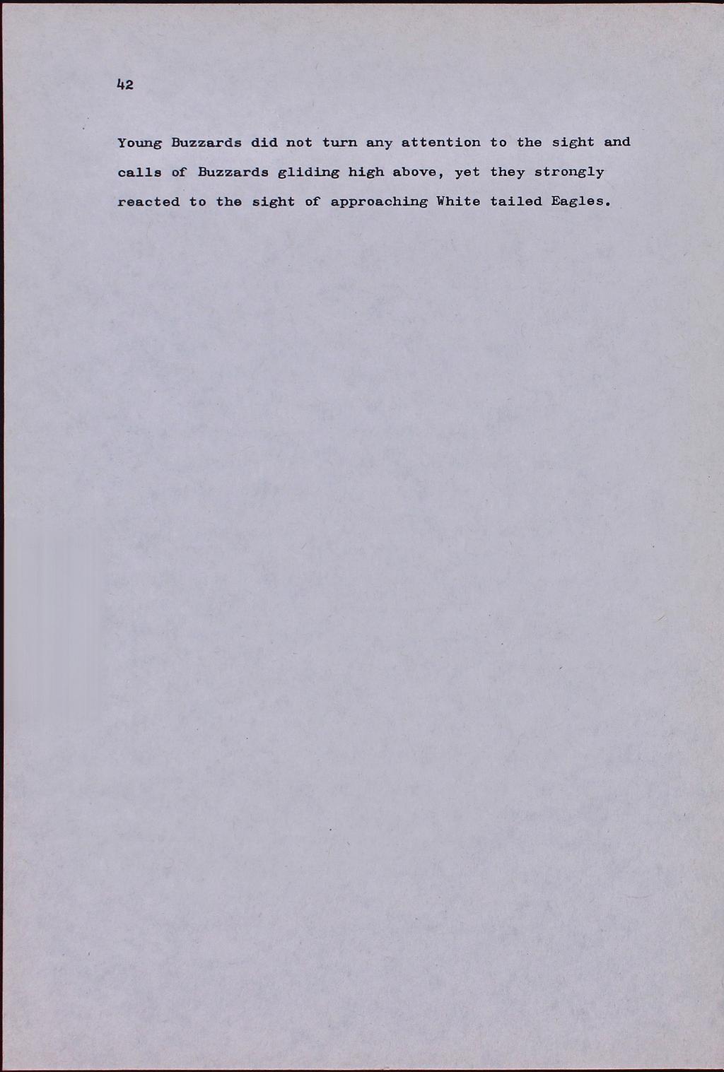 42 Young Buzzards did not turn any attention to sight and calls of Buzzards