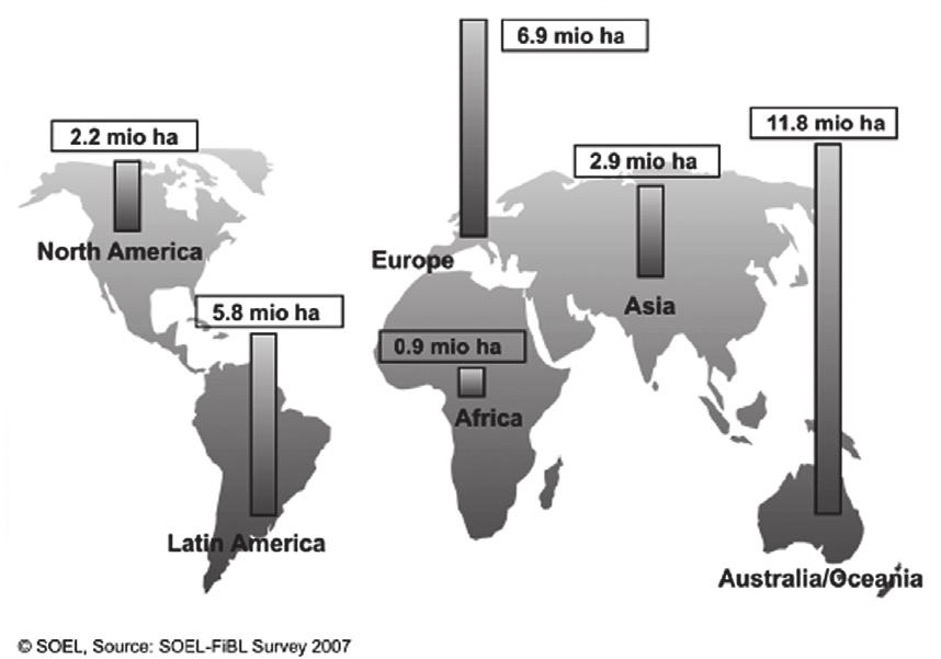 Powierzchnia produkcji ekologicznej na Świecie (w mln ha) w podziale na kontynenty w 2005 r. Źródło: Willer i Yussefi, 2007. Stan na 31 grudnia 2005 r.