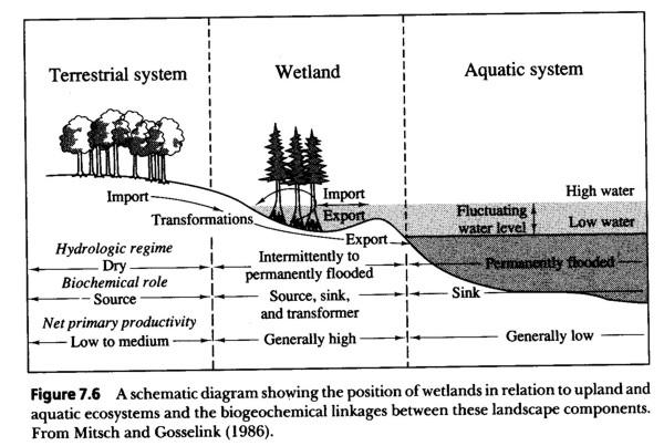 Ekosystemy lądowe