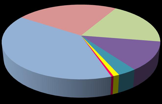 Wykres 15. Struktura gospodarstw domowych oczekujących na najem lokalu na czas nieoznaczony wg stanu na dzień 30 czerwca 2017 r.