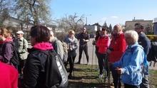 spośród tych, którzy systematycznie uczestniczą w rajdach nordic walking.