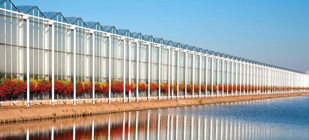 HB29007 ŚWIETLÓWKA LED 9W/PLANT 18W T8 G13 PLANTS 590mm 26mm