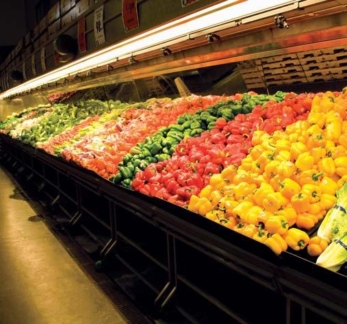 VEGETABLES 849mm Diameter 16mm Input voltage 12 VDC Input voltage 12 VDC Name Replace Application HB29039 ŚWIETLÓWKA 54W T5 G5 LED 24W/3000K BAKERY FRUIT VEGETABLES