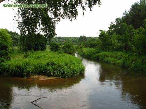 Rzeka Rawka Spływ kajakiem Rawką to niezwykłe