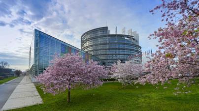 Parlament Europejski ustalenie liczby głosów ważnych oddanych na poszczególnych kandydatów zaleca się wcześniejsze