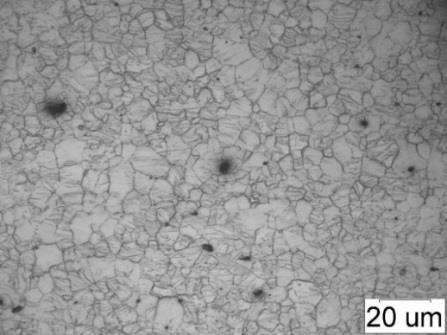 Próbka nr 12B z materiału AZ31B - 