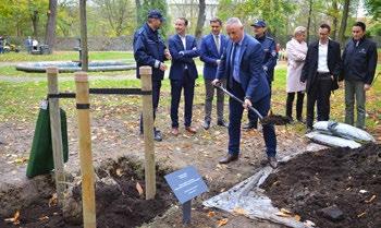 biuro zarządzania projektem, Mercedes-Benz
